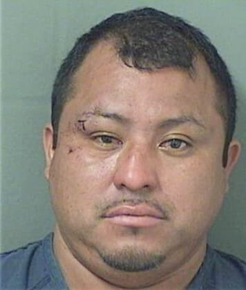 Julio Hernandez, - Palm Beach County, FL 